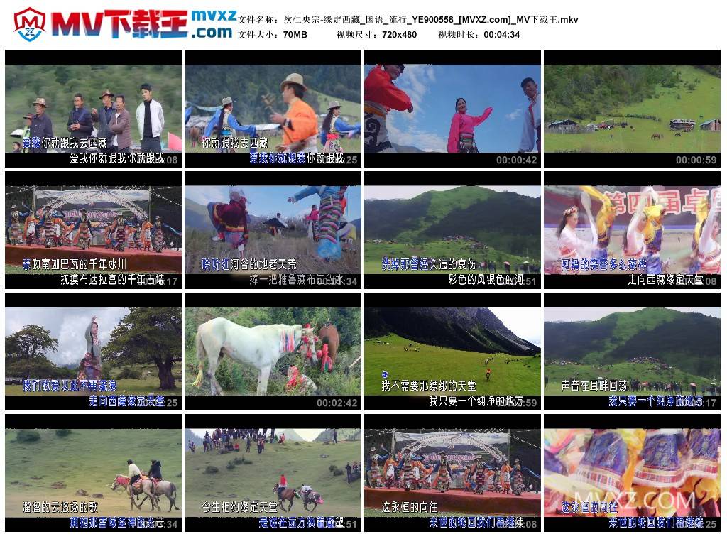 次仁央宗-缘定西藏_国语_流行_YE900558